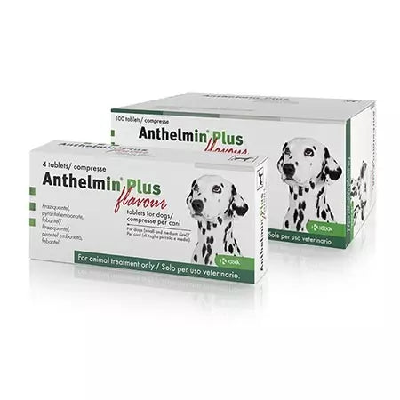 Anthelmin Plus for Dogs - Pack of 4