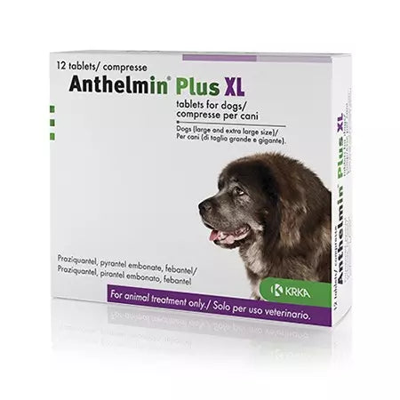 Anthelmin Plus Large Dogs Parasite Treatment Roundworms Tapeworms
