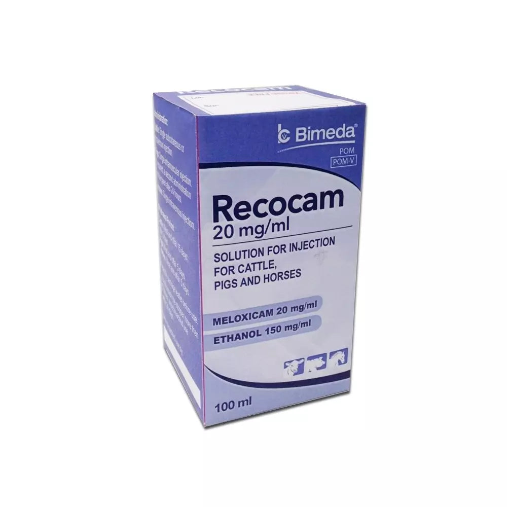 Recocam 20 mg ml solution injection cattle pigs horses