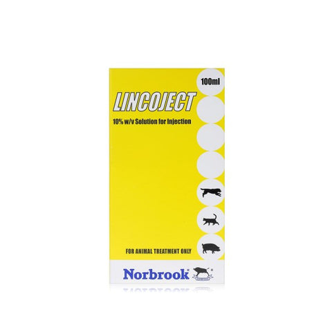 Lincoject Solution for Injection 100ml