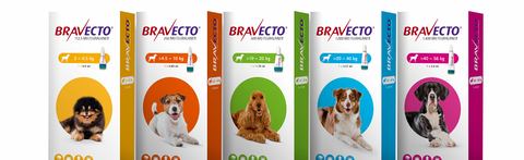 Bravecto Spot on Solution for Dogs