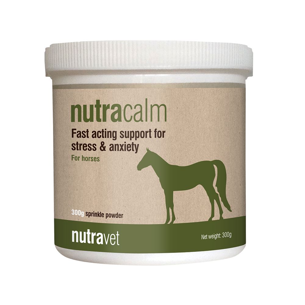 Nutracalm Equine – natural support for stress & anxiety