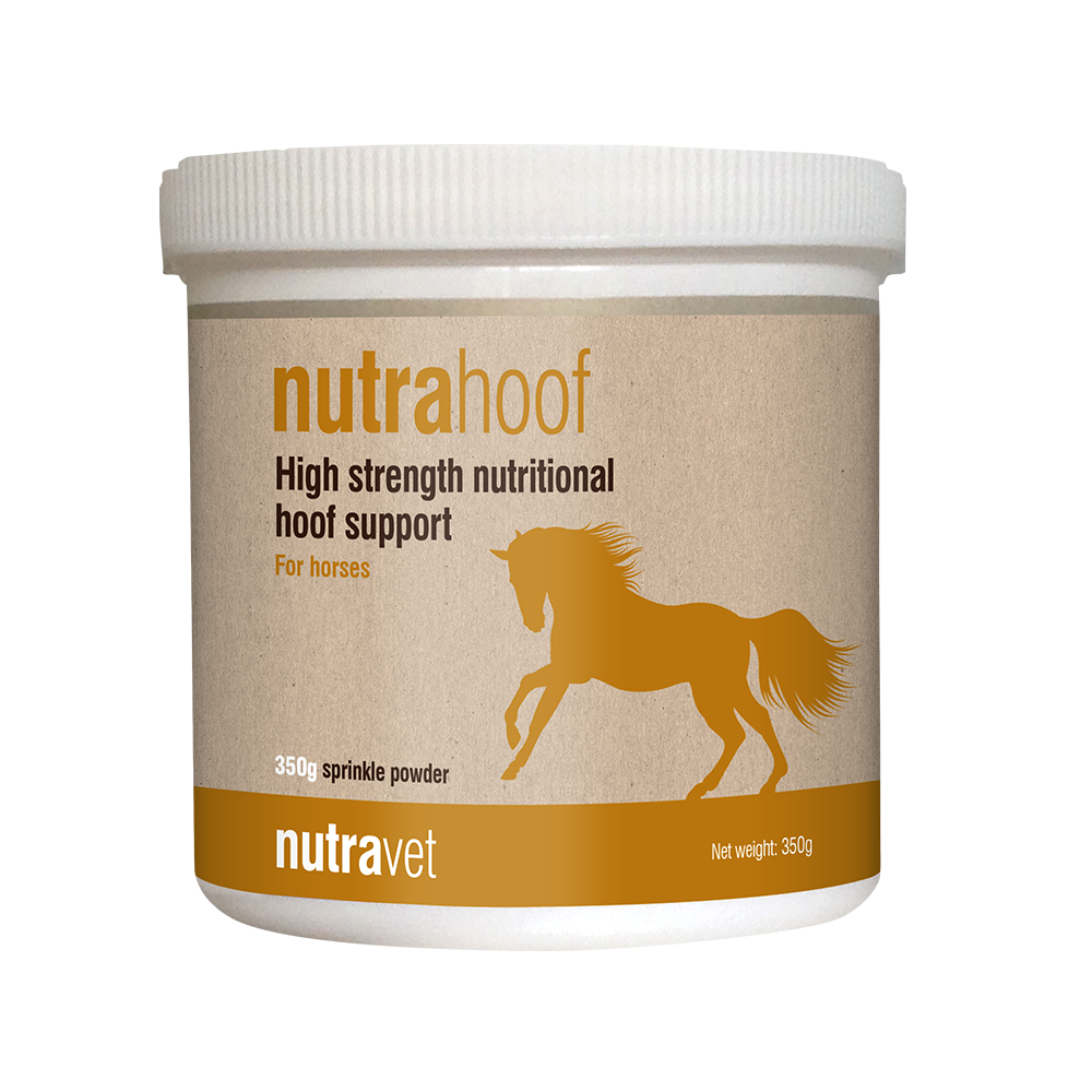 Nutrahoof – high strength support for healthy hooves