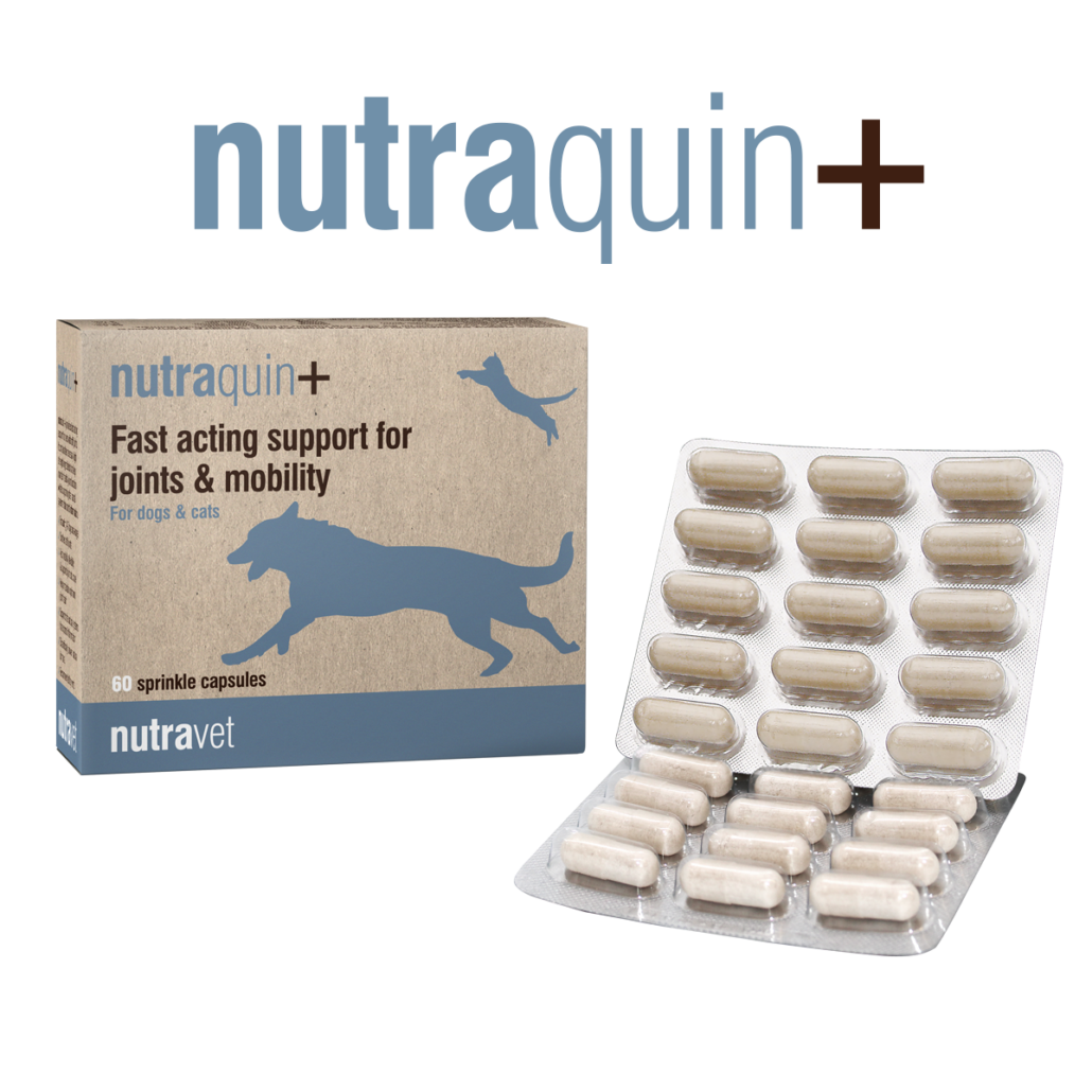 Nutraquin+ joint supplement for dogs and cats