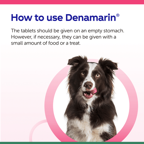 Protexin Denamarin Advanced Tablets for Dogs x 30