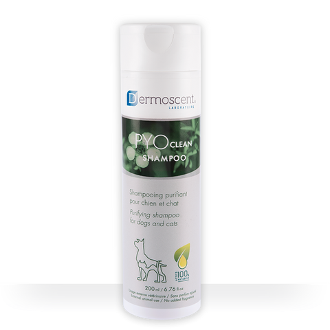 Dermoscent PyoClean Shampoo For Dogs & Cats 200ml
