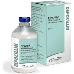 Depocillin Injection