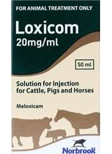 Loxicom Solution for Injection – VetMedi.co.uk