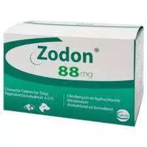 Zodon 88mg tablets packaging box, featuring a white and teal-green design with the brand name 'Zodon' and '88mg' printed clearly.