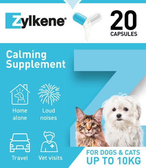 Zylkene Capsules for Cats and Dogs