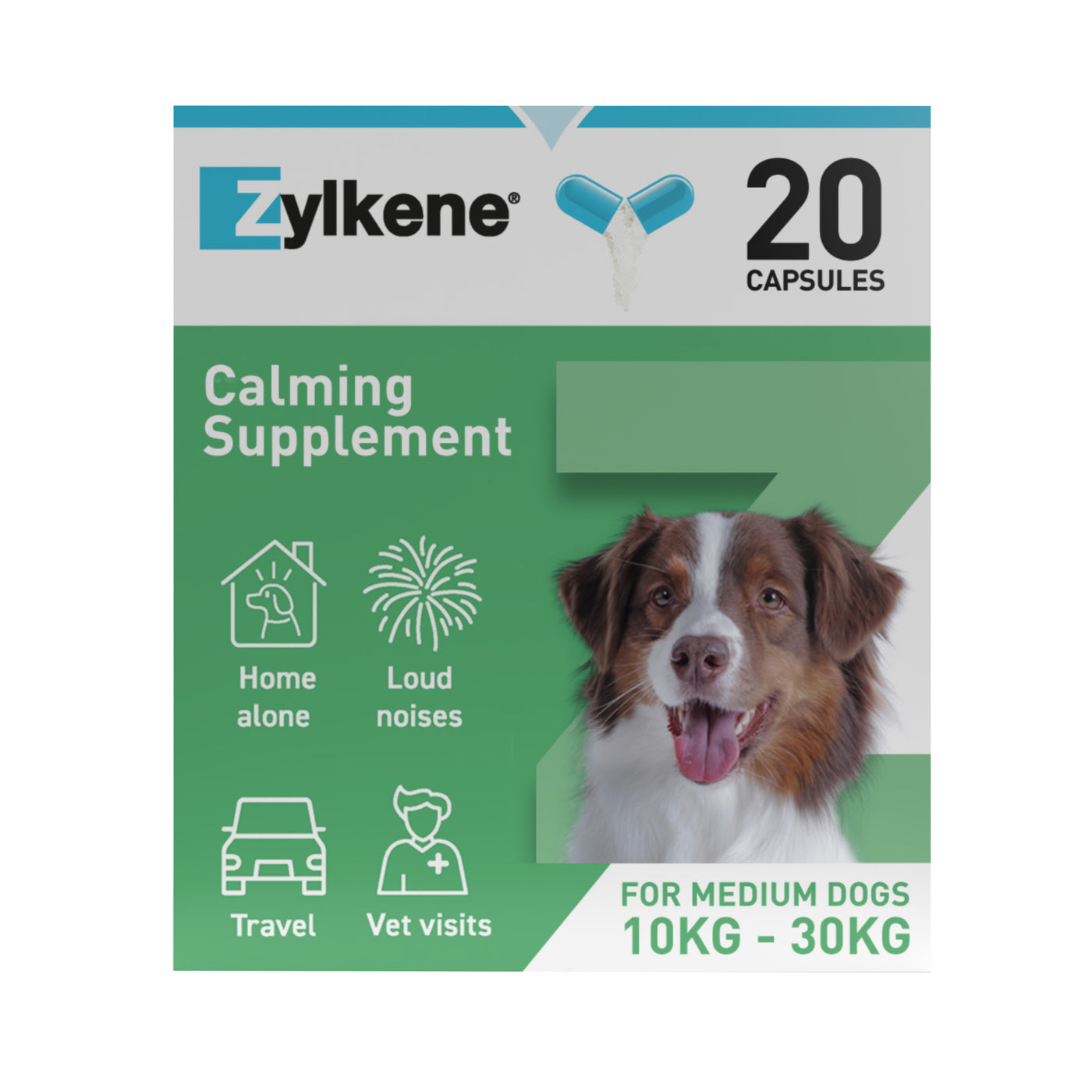 Zylkene Capsules for Cats and Dogs