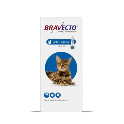 Injectable flea online prevention for cats