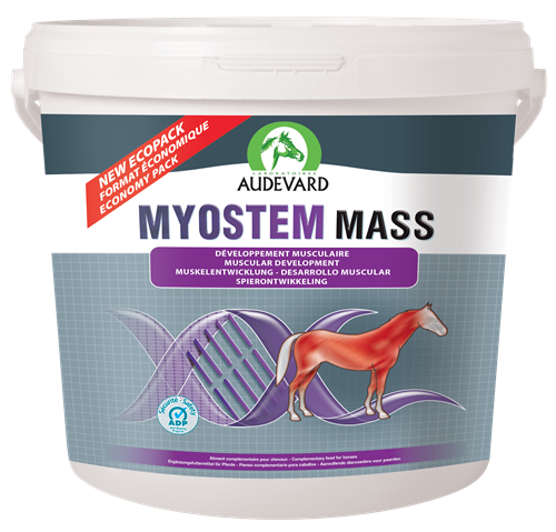 Myostem Mass Muscular Development Support Horses