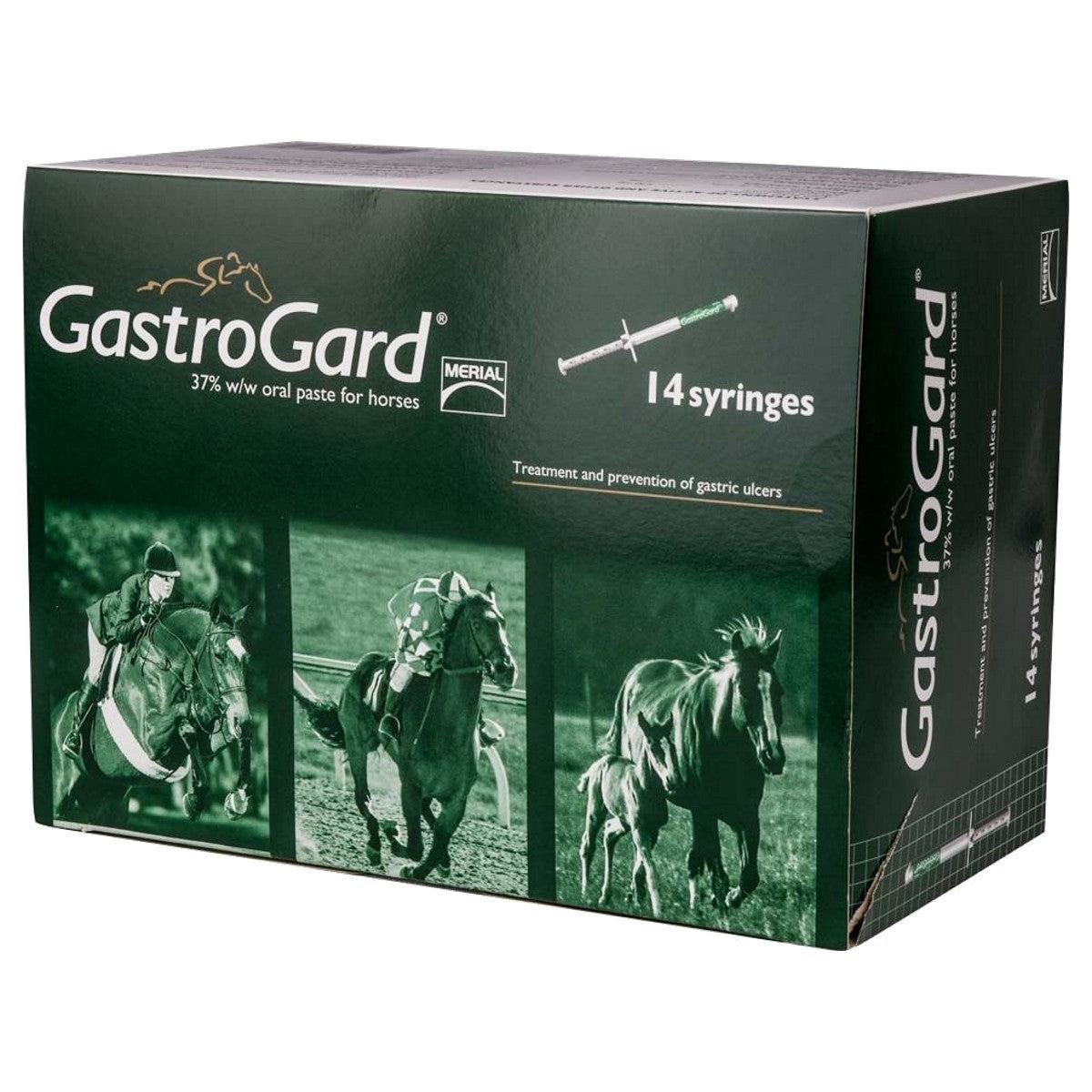 GastroGard 37% w/w oral paste for horses