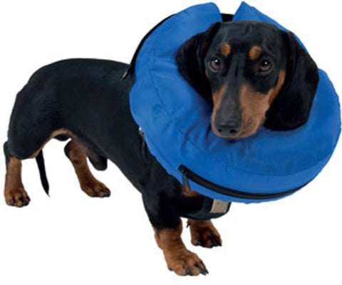 Buster Inflatable Collar For Dogs (Various Sizes) For Recovery & Post Surgery Process