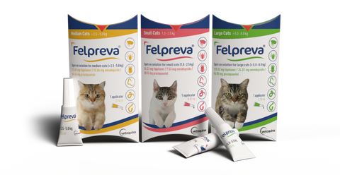 Felpreva Spot on for cats - one pipette