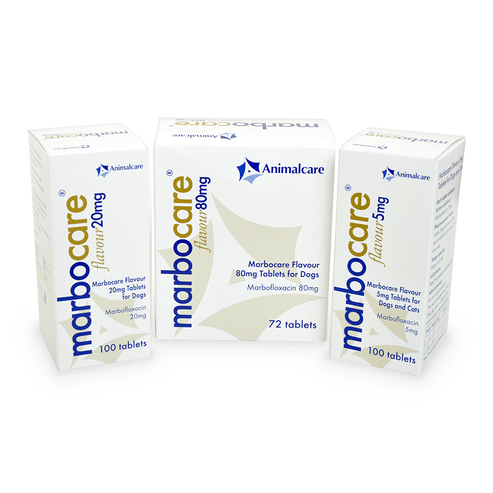 Marbocare Flavour Tablets