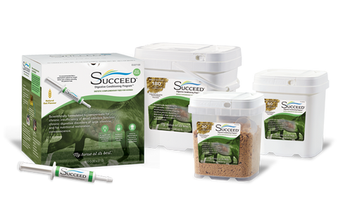 Succeed Digestive Conditioning Program for Horses