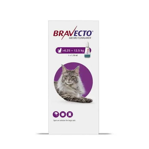 Bravecto 500mg Spot-On Solution For Large Cats (6.25kg - 12.5kg)