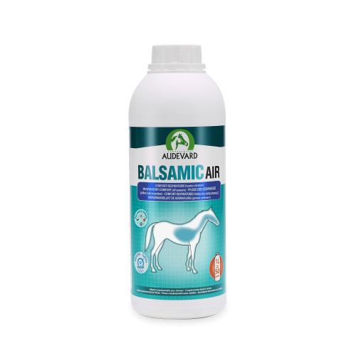 Audevard Balsamic Air Respiratory Comfort For Horses