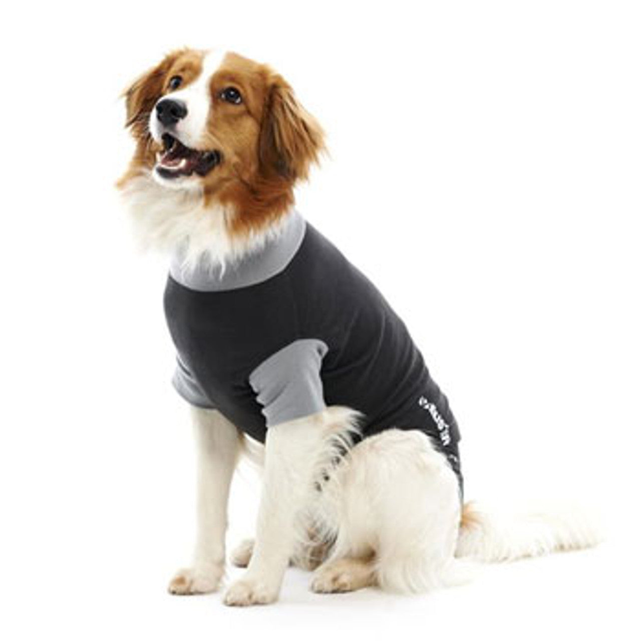 BUSTER Easygo Body Suit Dogs After Surgery Suit