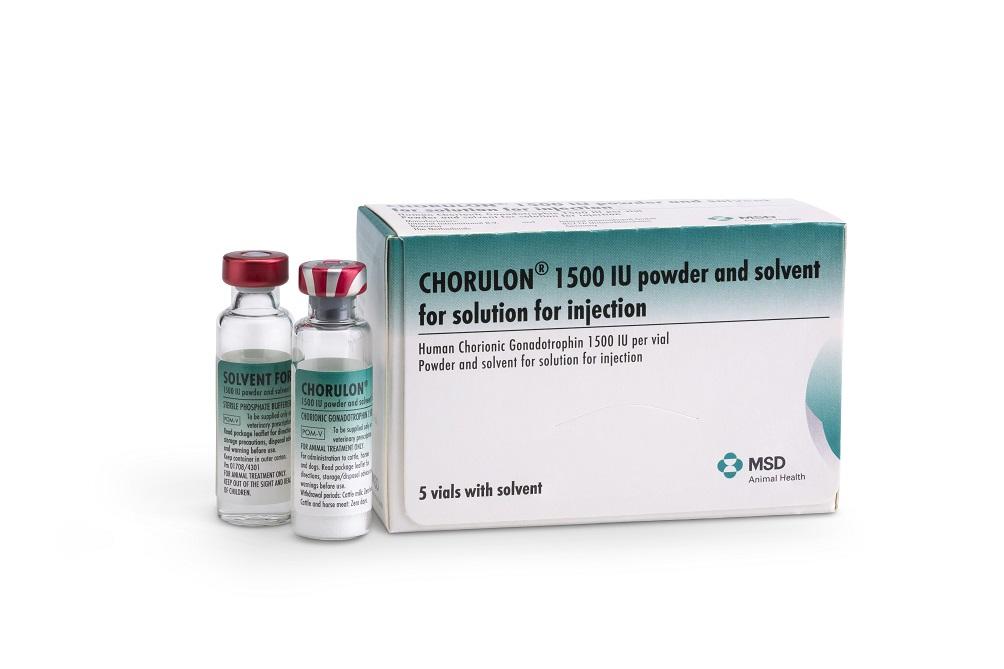 Chorulon® 1500 IU Powder & Solvent Solution Injection 5 Vials