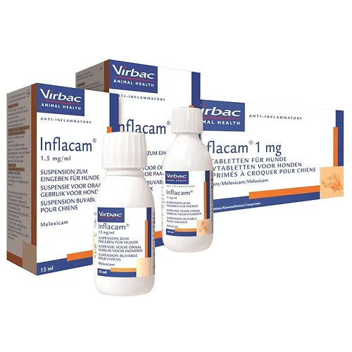 Inflacam 1.5mg ml Oral Suspension Dogs