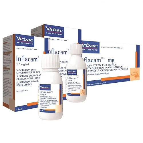 Inflacam 1.5mg/ml Oral Suspension for Dogs