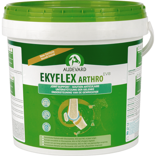 Audevard Ekyflex Arthro EVO