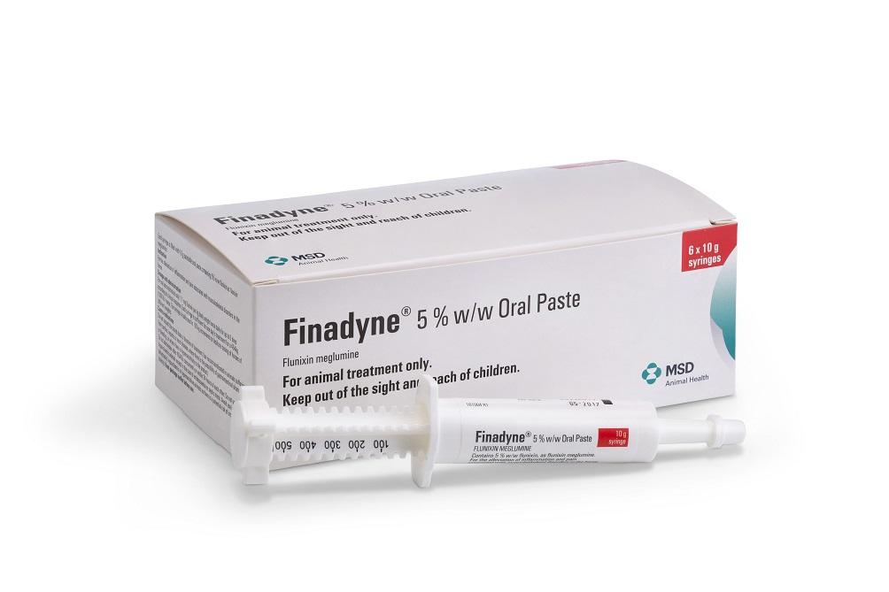 Finadyne Oral paste