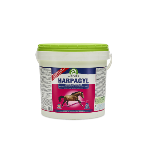 Harpagyl Joint Support Active & Older Horses