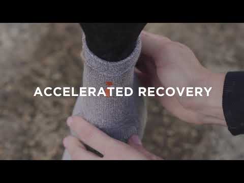 Incrediwear Equine Circulation Standing Wraps