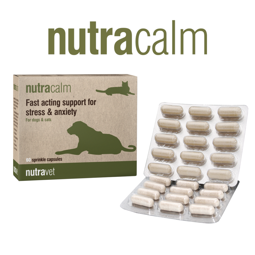 Nutracalm for dogs and cats pack of 60