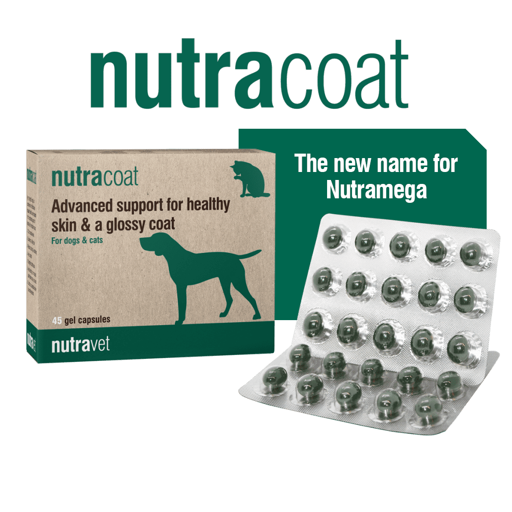 Nutracoat (The New Name for Nutramega)