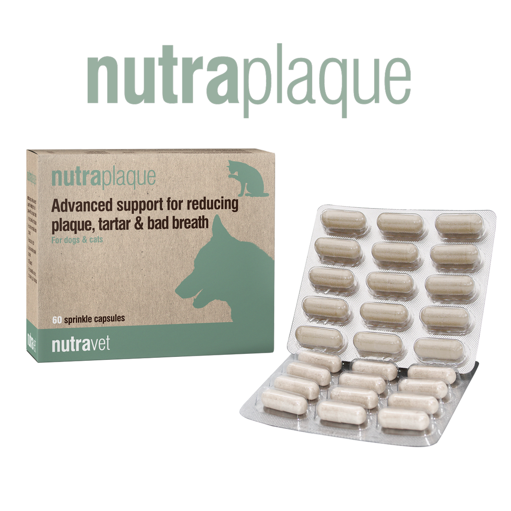 Nutraquin sales plus amazon