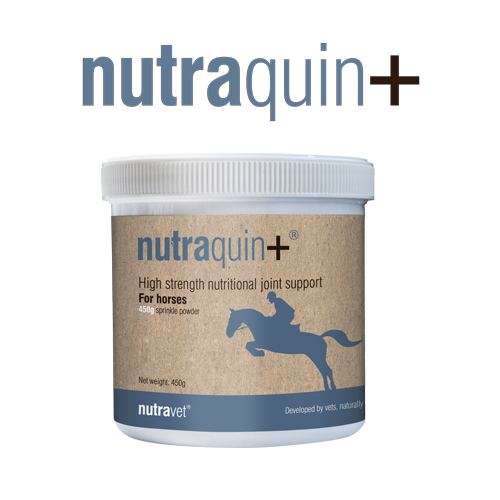 Nutraquin+ equine for horses