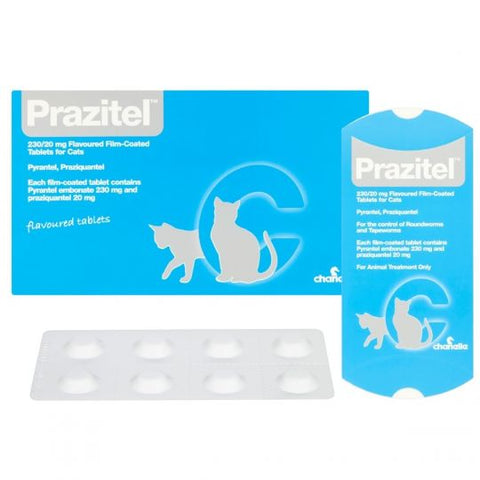 Prazitel Cat