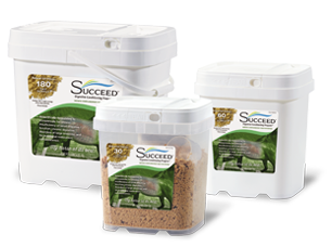 Succeed Digestive Conditioning Program for Horses